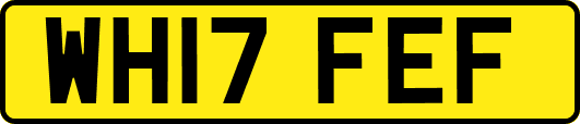 WH17FEF