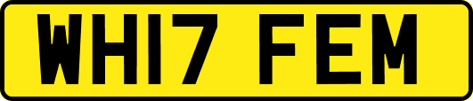 WH17FEM