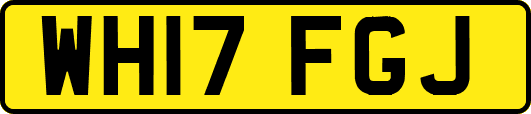 WH17FGJ
