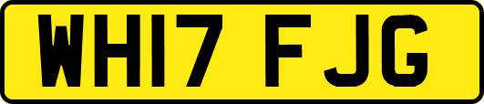 WH17FJG