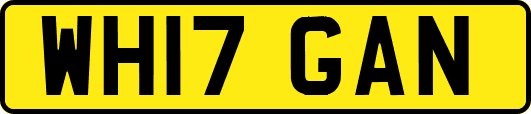 WH17GAN