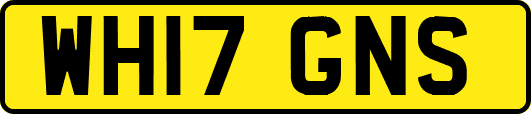 WH17GNS
