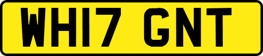 WH17GNT