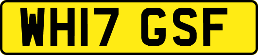 WH17GSF