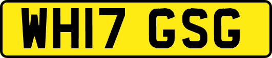WH17GSG