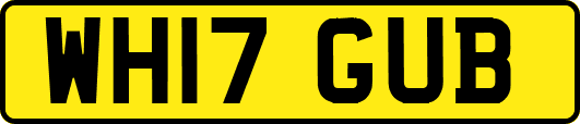 WH17GUB