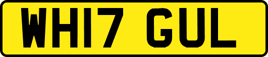 WH17GUL