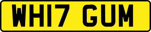 WH17GUM