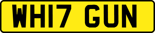 WH17GUN