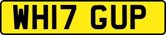 WH17GUP