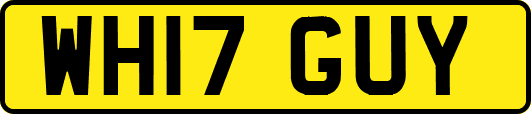 WH17GUY