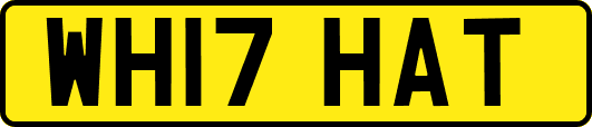 WH17HAT