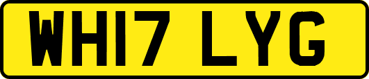WH17LYG