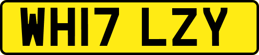 WH17LZY