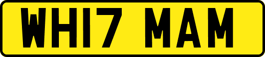 WH17MAM