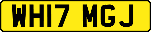 WH17MGJ