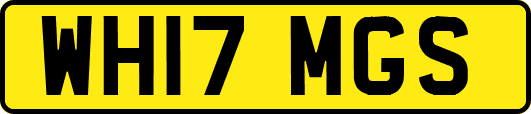 WH17MGS