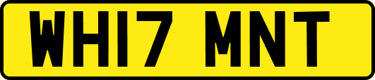 WH17MNT