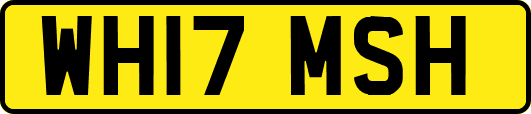 WH17MSH