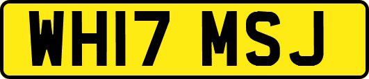 WH17MSJ