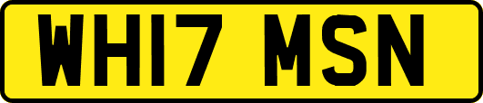 WH17MSN
