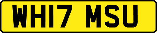 WH17MSU