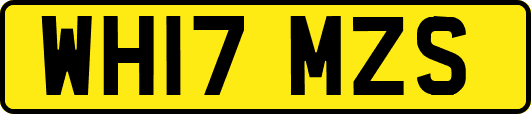 WH17MZS