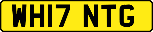 WH17NTG