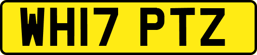 WH17PTZ