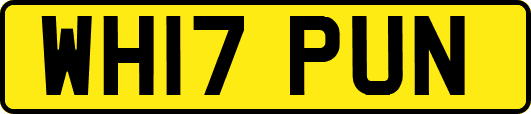 WH17PUN