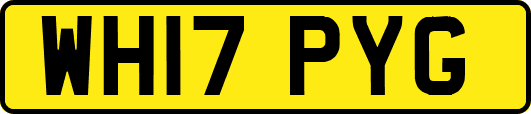 WH17PYG