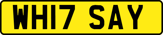 WH17SAY