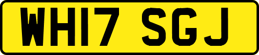 WH17SGJ