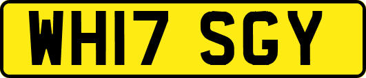 WH17SGY