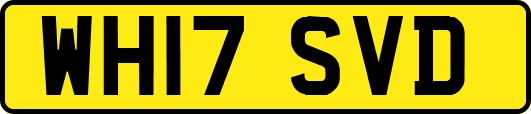 WH17SVD