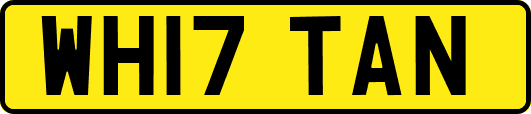 WH17TAN