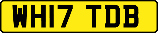 WH17TDB