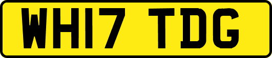 WH17TDG