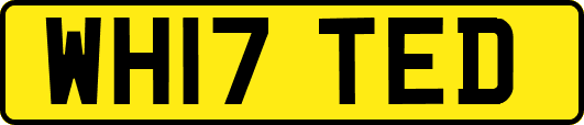 WH17TED