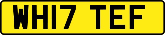 WH17TEF