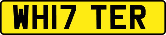 WH17TER