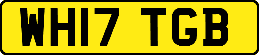 WH17TGB