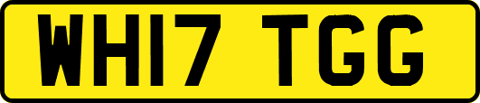 WH17TGG