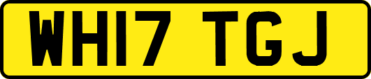 WH17TGJ