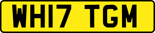 WH17TGM