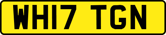 WH17TGN