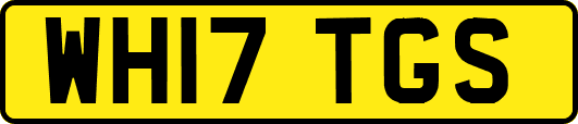 WH17TGS