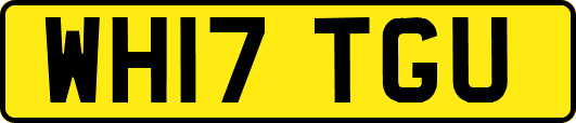 WH17TGU