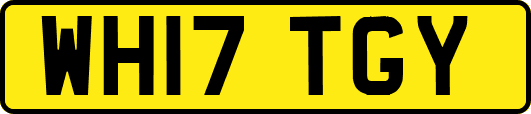 WH17TGY