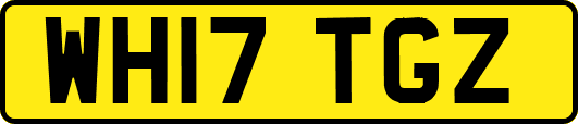 WH17TGZ
